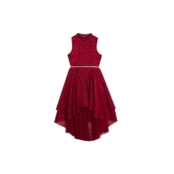 Rare Editions Big Girls Glitter Dot Mesh Tie Burgundy Red Size 16 MSRP $84